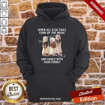 When All Else Fails Turn Up The Music And Dance With Your Ferret Hoodie