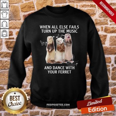 When All Else Fails Turn Up The Music And Dance With Your Ferret Sweatshirt