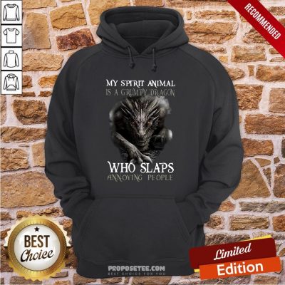 My Spirit Animal Is A Grumpy Dragon Who Slaps Annoying People Hoodie