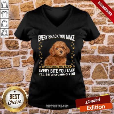 Poodle Every Snack You Make Every Meal You Bake Every Bite You Take I’ll Be Watching You V-neck