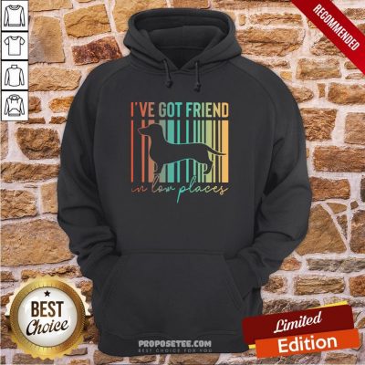 Dachshund I’ve Got Friend In Low Places Hoodie