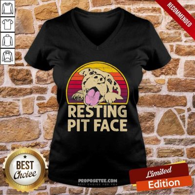 Pitbull Resting Pit Face V-neck